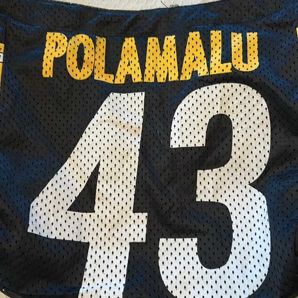 NFL Pittsburgh Steelers Jersey Tote Troy Polamalu #43 - Picture 2 of 8